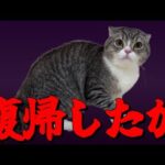 「もちまる君の飼い主の戦略、、、」動画を投稿しました